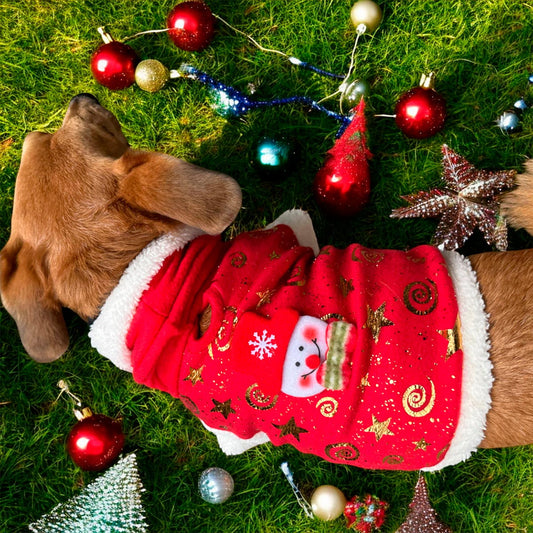 Disfraz Navideño para Mascotas - Ropa de Perros y Gatos